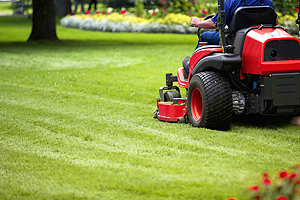 kertgondoz�s Balatonvil�gos